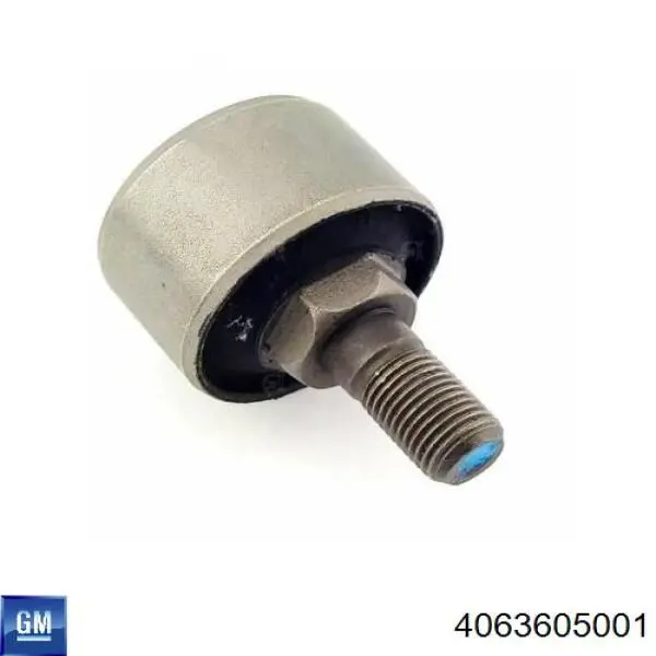 Bloco silencioso dianteiro do braço oscilante inferior 4063605001 General Motors