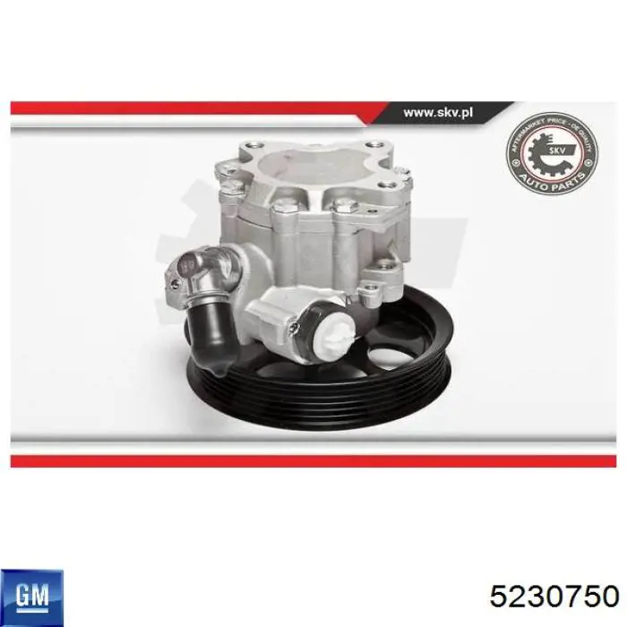 Bomba da Direção hidrâulica assistida 5230750 General Motors