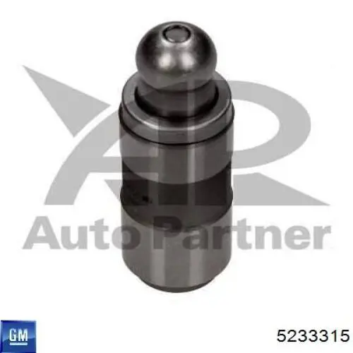 Compensador hidrâulico (empurrador hidrâulico), empurrador de válvulas General Motors 5233315 preço, a partir de 7,13 USD