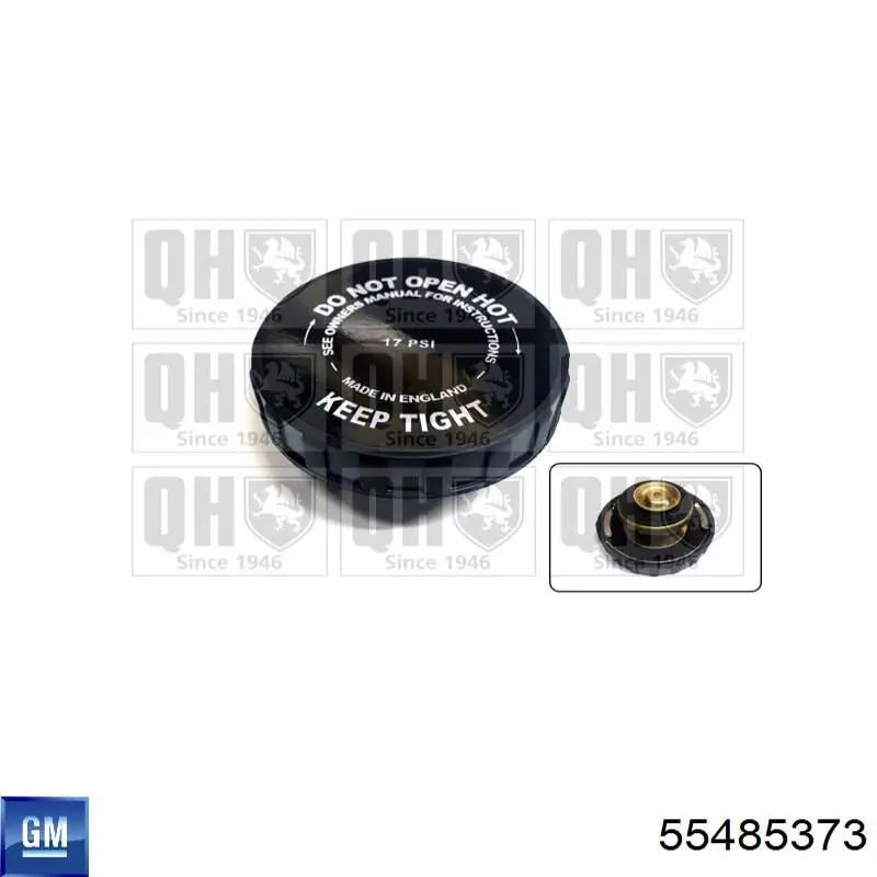0650217 Opel Vedante do radiador de óleo