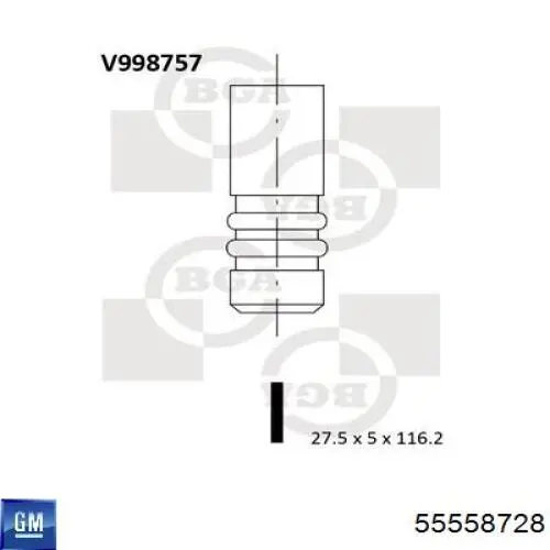 55558728 General Motors Válvula de escape