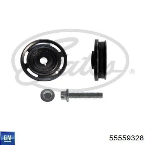 Compre 55559328 General Motors Polia de cambota