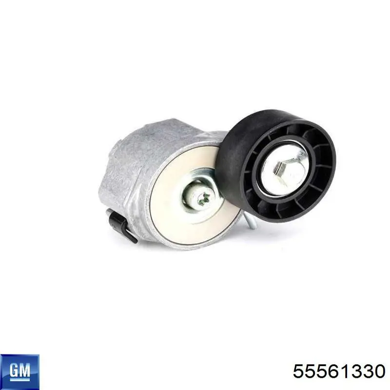 Compre 55561330 General Motors Reguladora de tensão da correia de transmissão