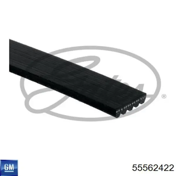 Compre 55562422 General Motors Correia dos conjuntos de transmissão