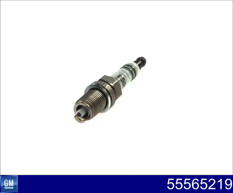 55565219 General Motors Vela de ignição