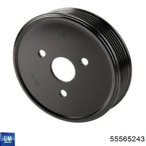 55565243 Peugeot/Citroen Polia da bomba de água