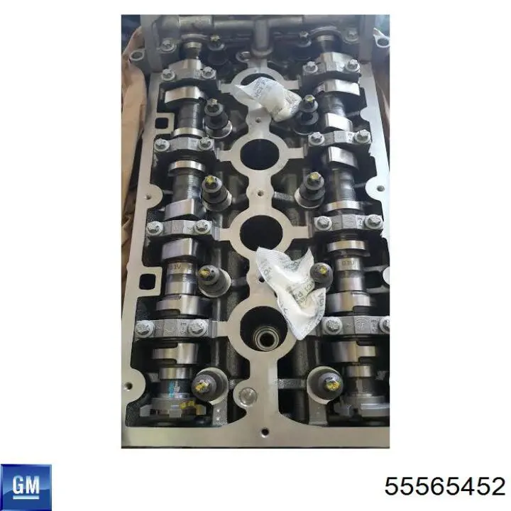 55565452 General Motors 