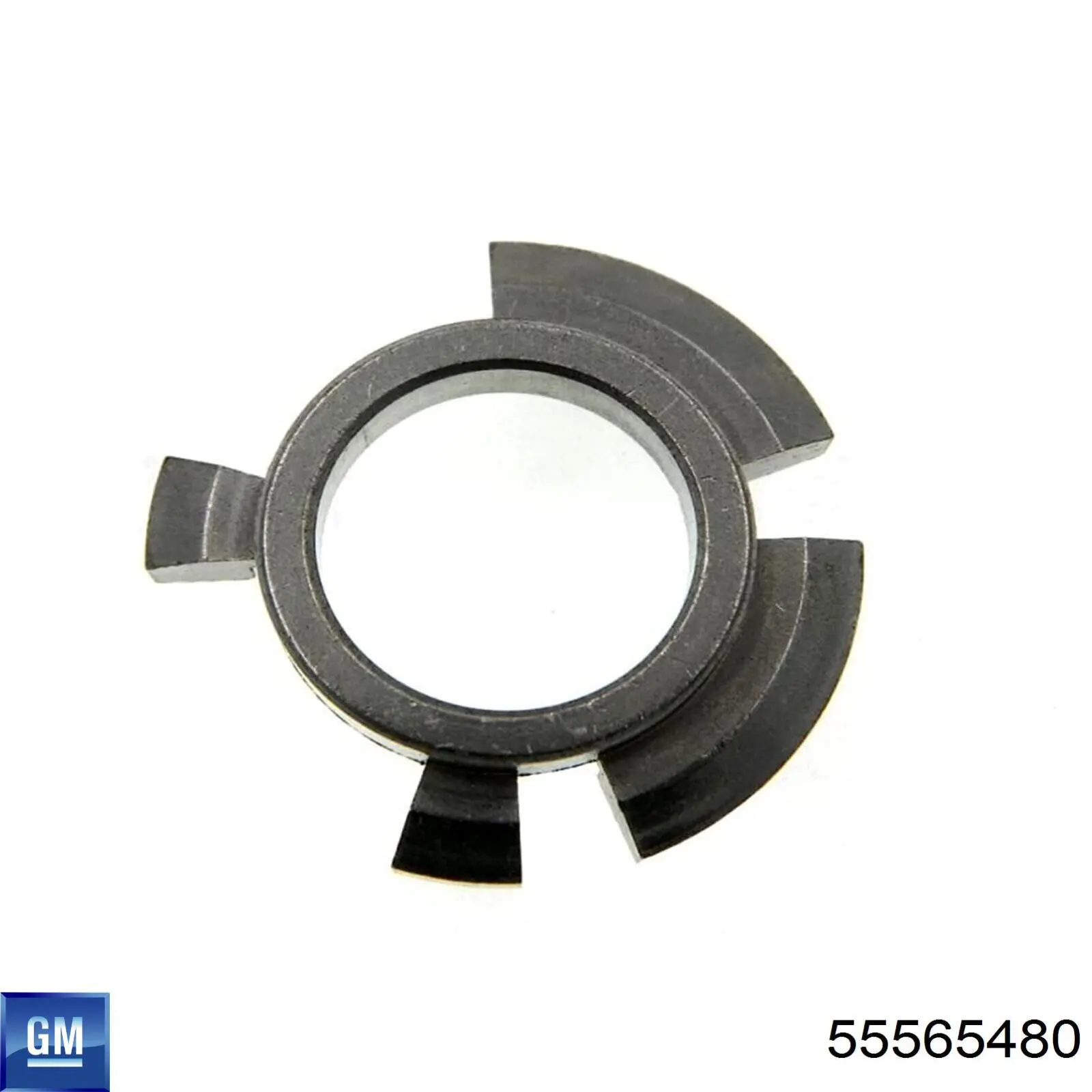55565480 General Motors 