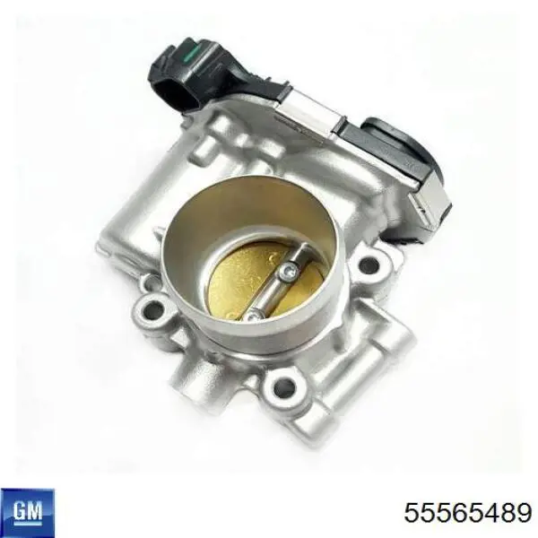 Compre 55565489 General Motors Válvula de borboleta montada