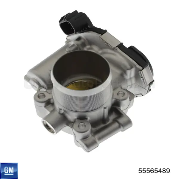 Compre 55565489 General Motors Válvula de borboleta montada