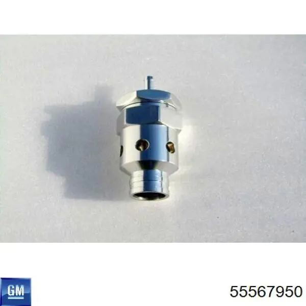 55567950 General Motors Mola de válvula