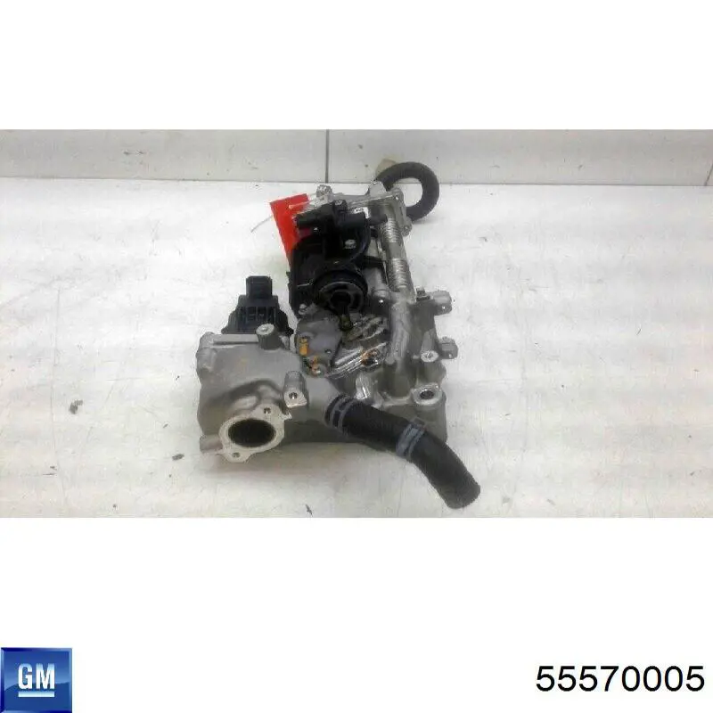 Válvula EGR de recirculação dos gases General Motors 55570005 preço, a partir de 151,68 USD