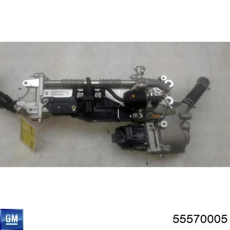 55570005 General Motors Válvula EGR de recirculação dos gases