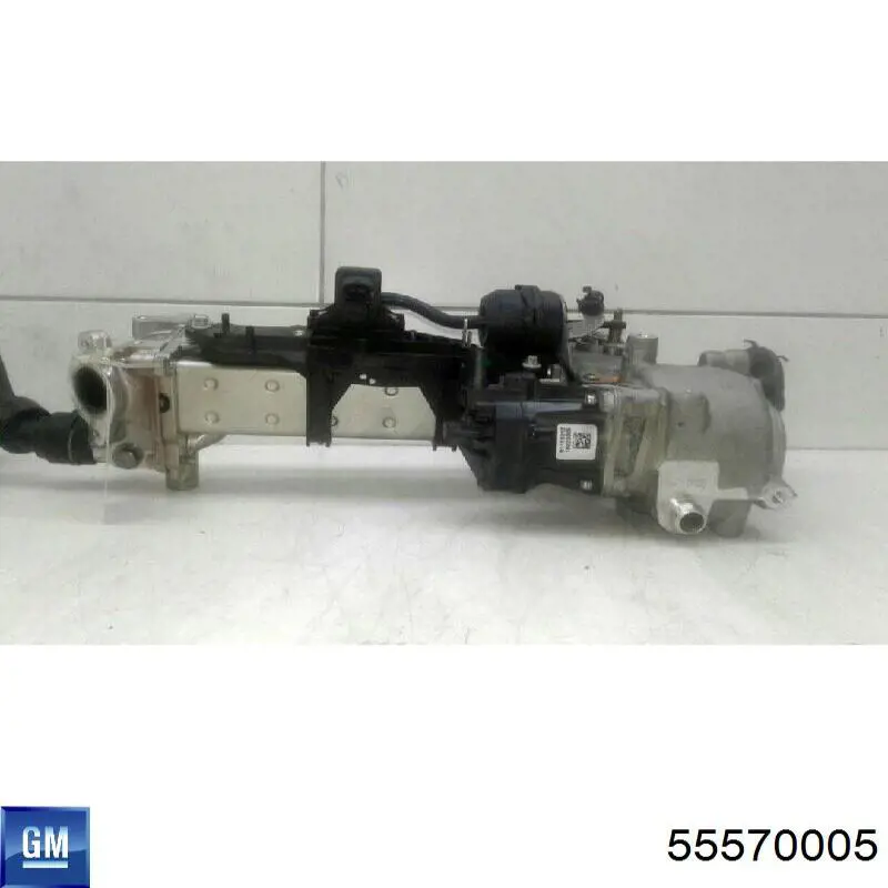 Válvula EGR de recirculação dos gases General Motors 55570005 preço, a partir de 155,24 USD