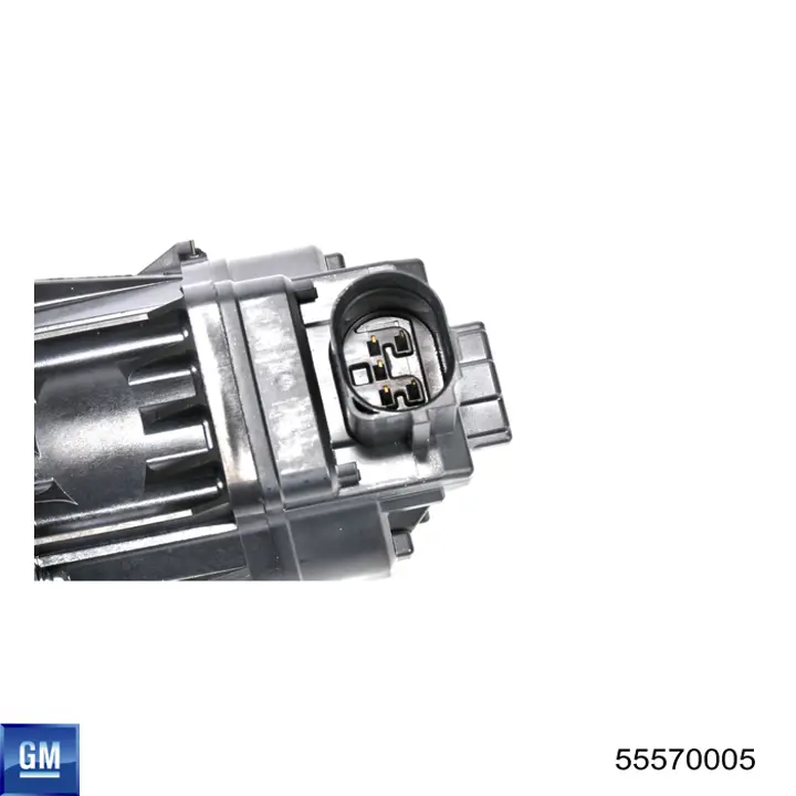 Compre 55570005 General Motors Válvula EGR de recirculação dos gases