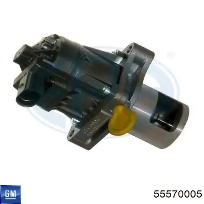 Compre 55570005 General Motors Válvula EGR de recirculação dos gases