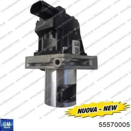 Válvula EGR de recirculação dos gases 55570005 General Motors