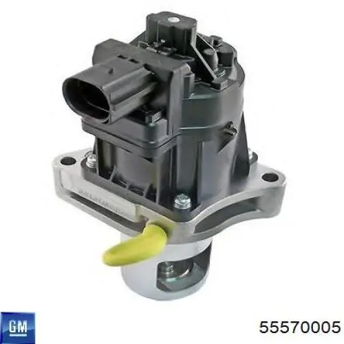 55570005 General Motors Válvula EGR de recirculação dos gases