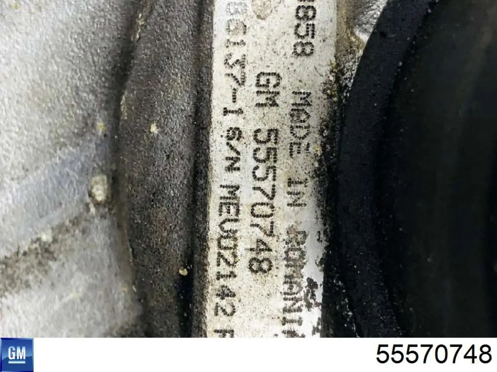 155041N Dasis Turbina