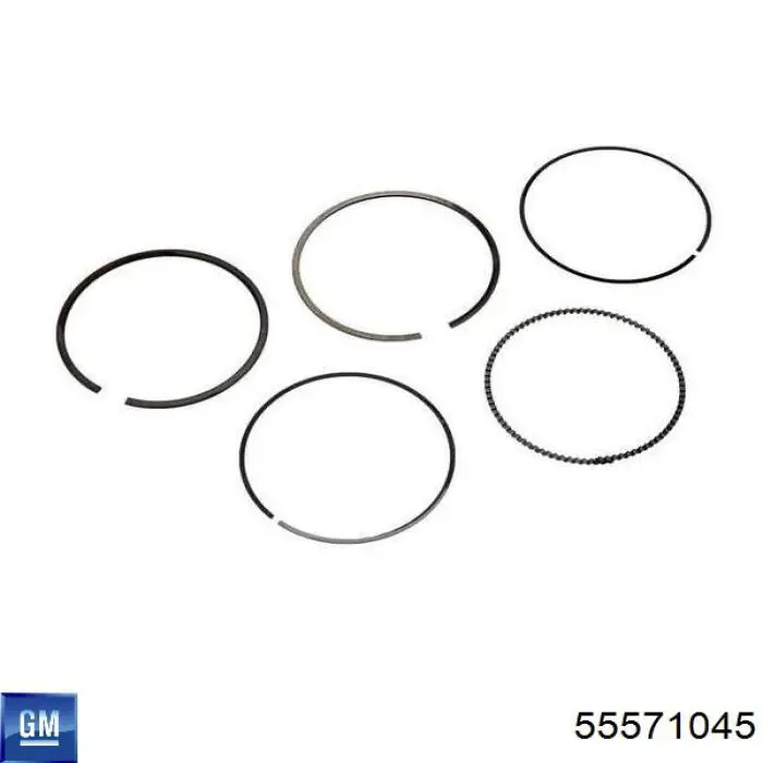 Pistão do kit para 1 cilindro, STD 55580179 General Motors