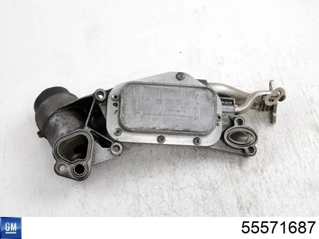 55571687 General Motors Radiador de óleo