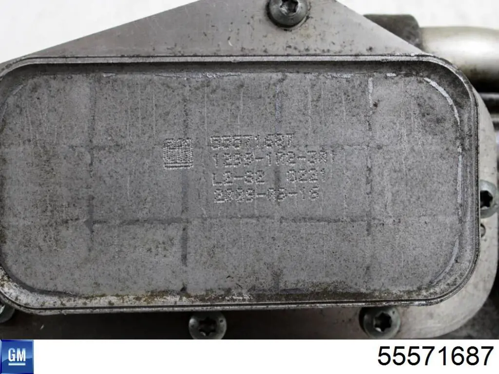 Radiador de óleo General Motors 55571687 preço, a partir de 47,98 USD