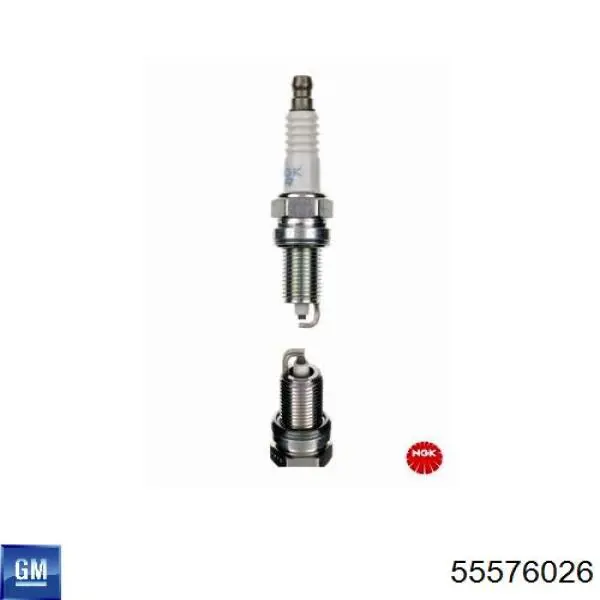 Vela de ignição 55576026 General Motors