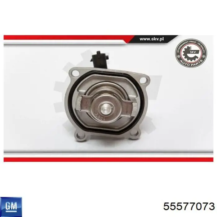 Compre 55577073 General Motors Caixa do termostato