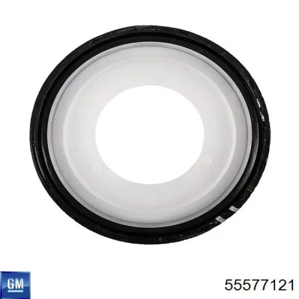 Vedante de tampa dianteira de motor 55577121 General Motors