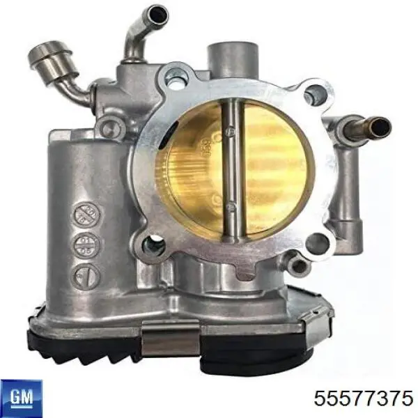 Compre 55577375 General Motors Válvula de borboleta montada
