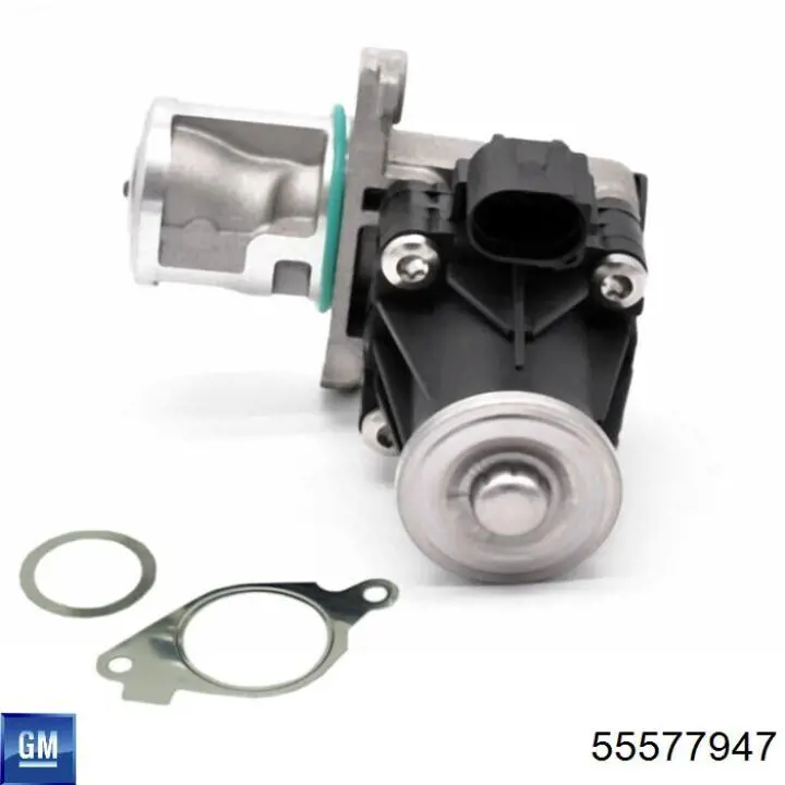 Compre 55577947 General Motors Válvula EGR de recirculação dos gases