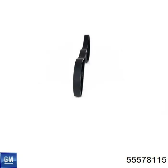 55578115 General Motors Correia dos conjuntos de transmissão, kit