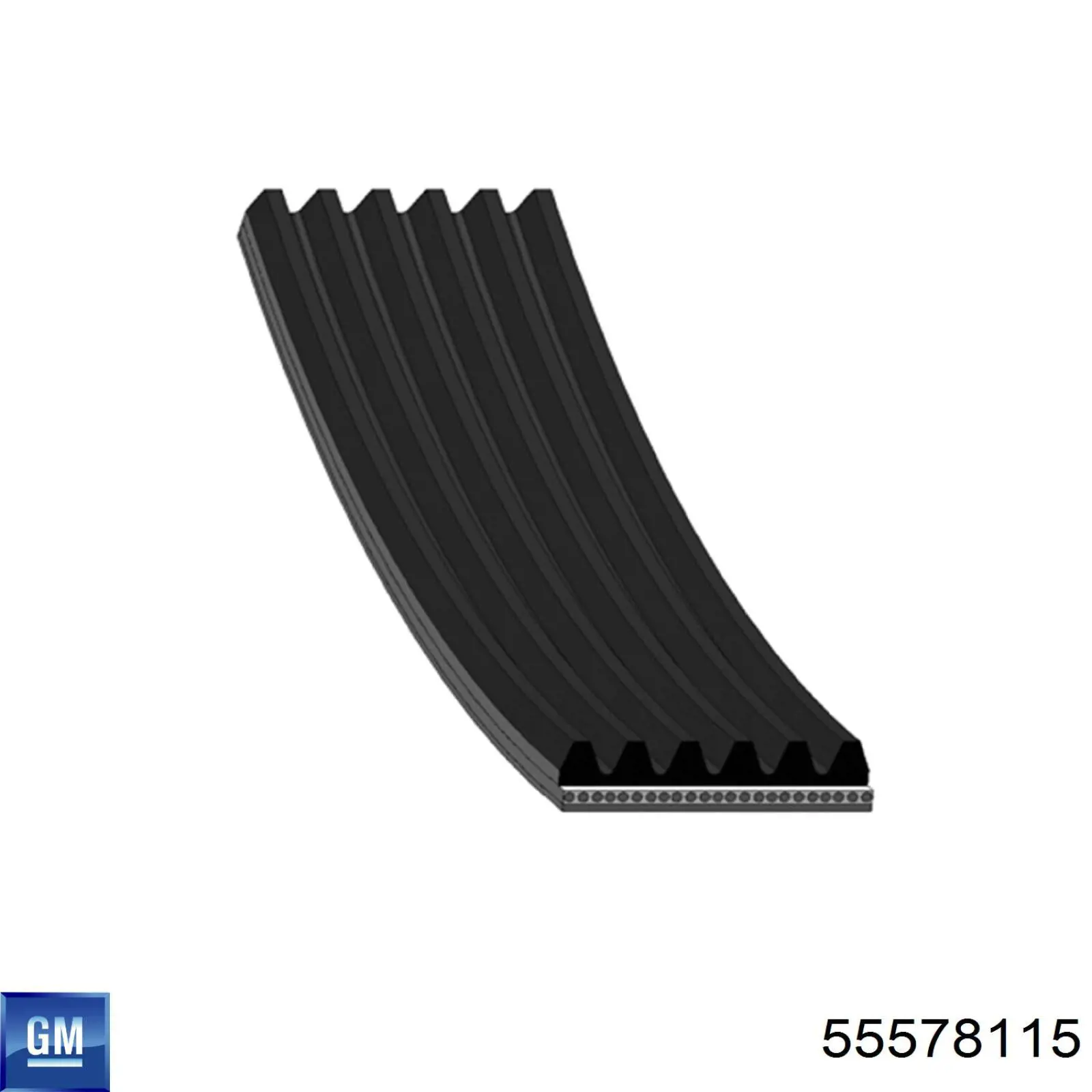 Compre 55578115 General Motors Correia dos conjuntos de transmissão, kit