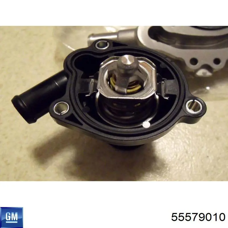 55579010 General Motors Termostato