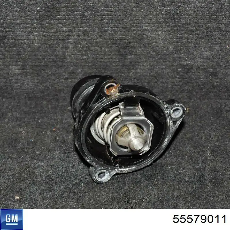 Compre 55579011 General Motors Termostato