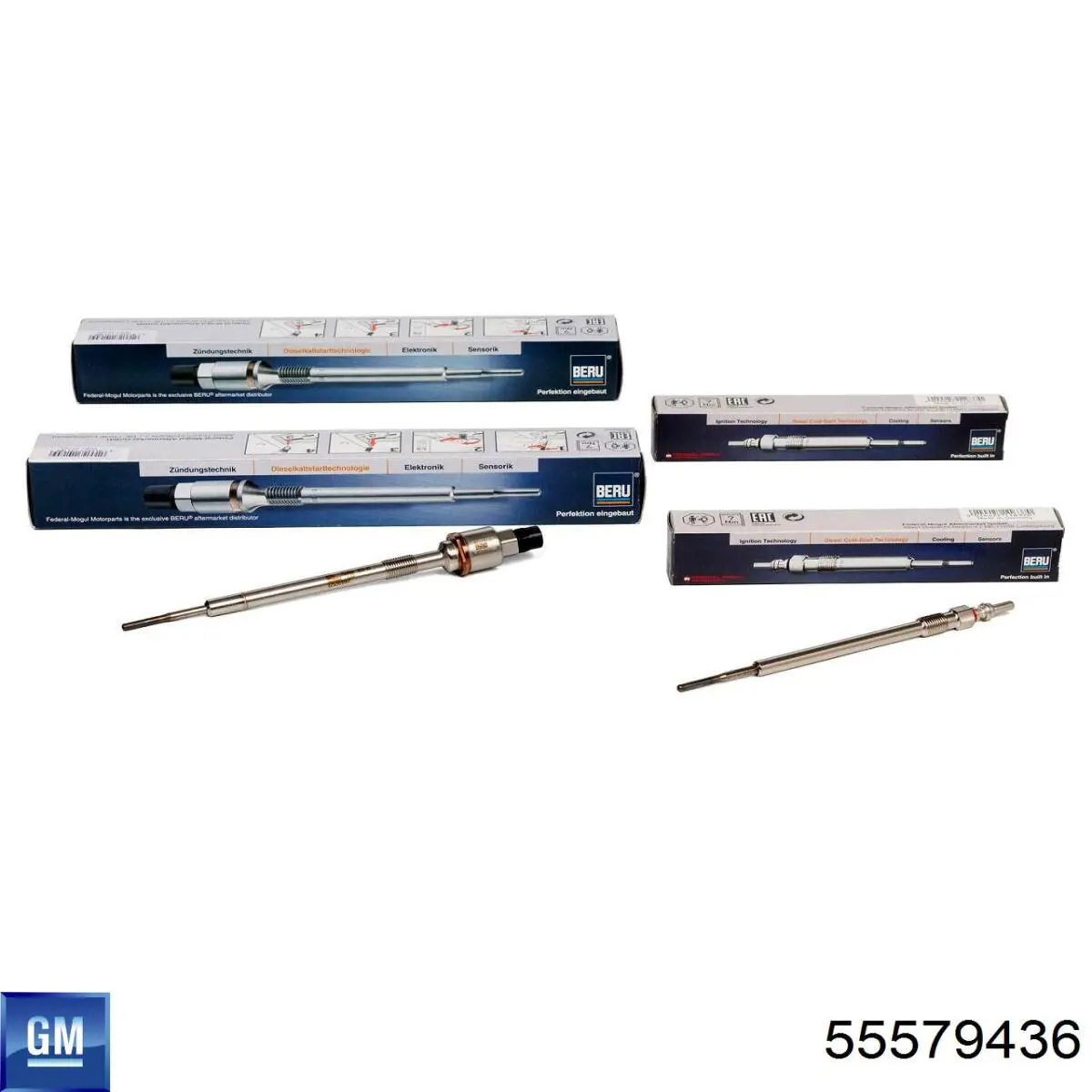 Compre 55579436 General Motors Vela de incandescência