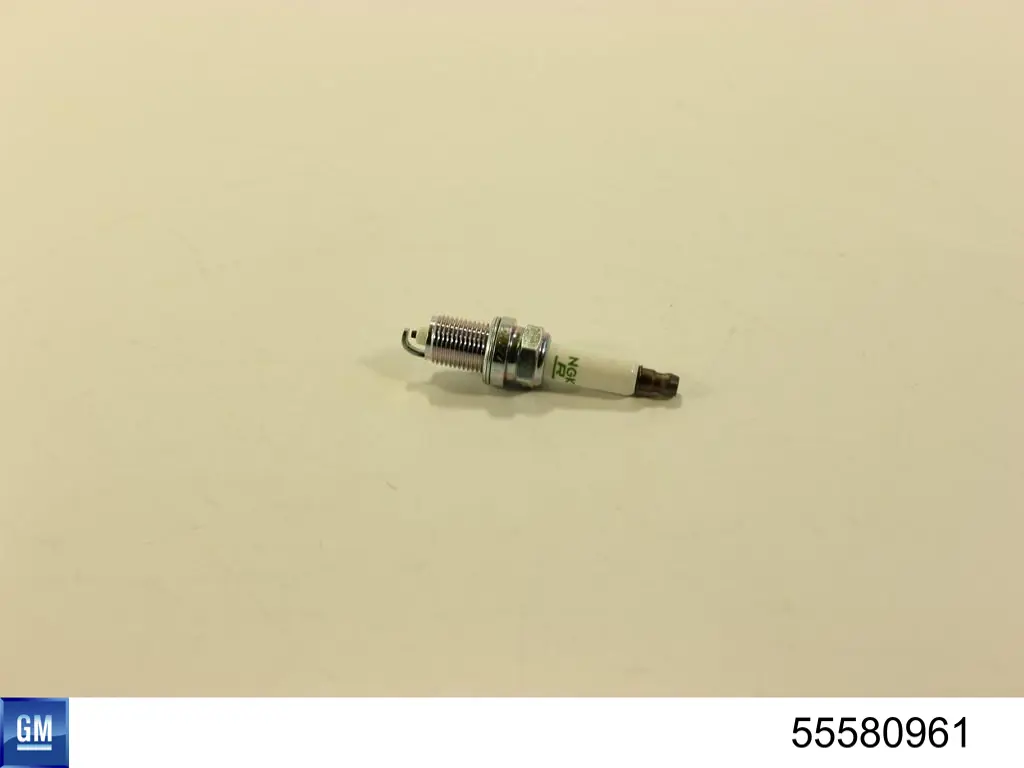 55580961 General Motors Vela de ignição