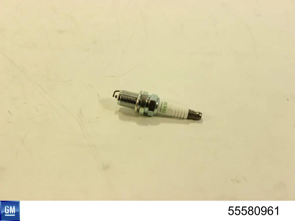 Compre 55580961 General Motors Vela de ignição