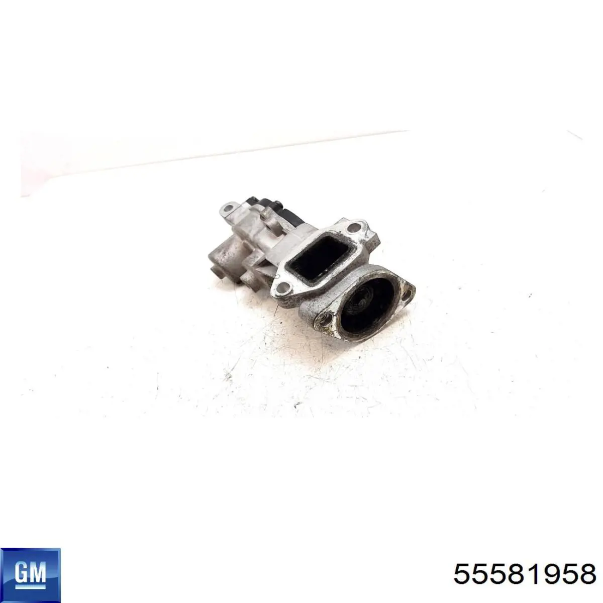 Válvula EGR de recirculação dos gases ERA 555339 preço, a partir de 144,90 USD