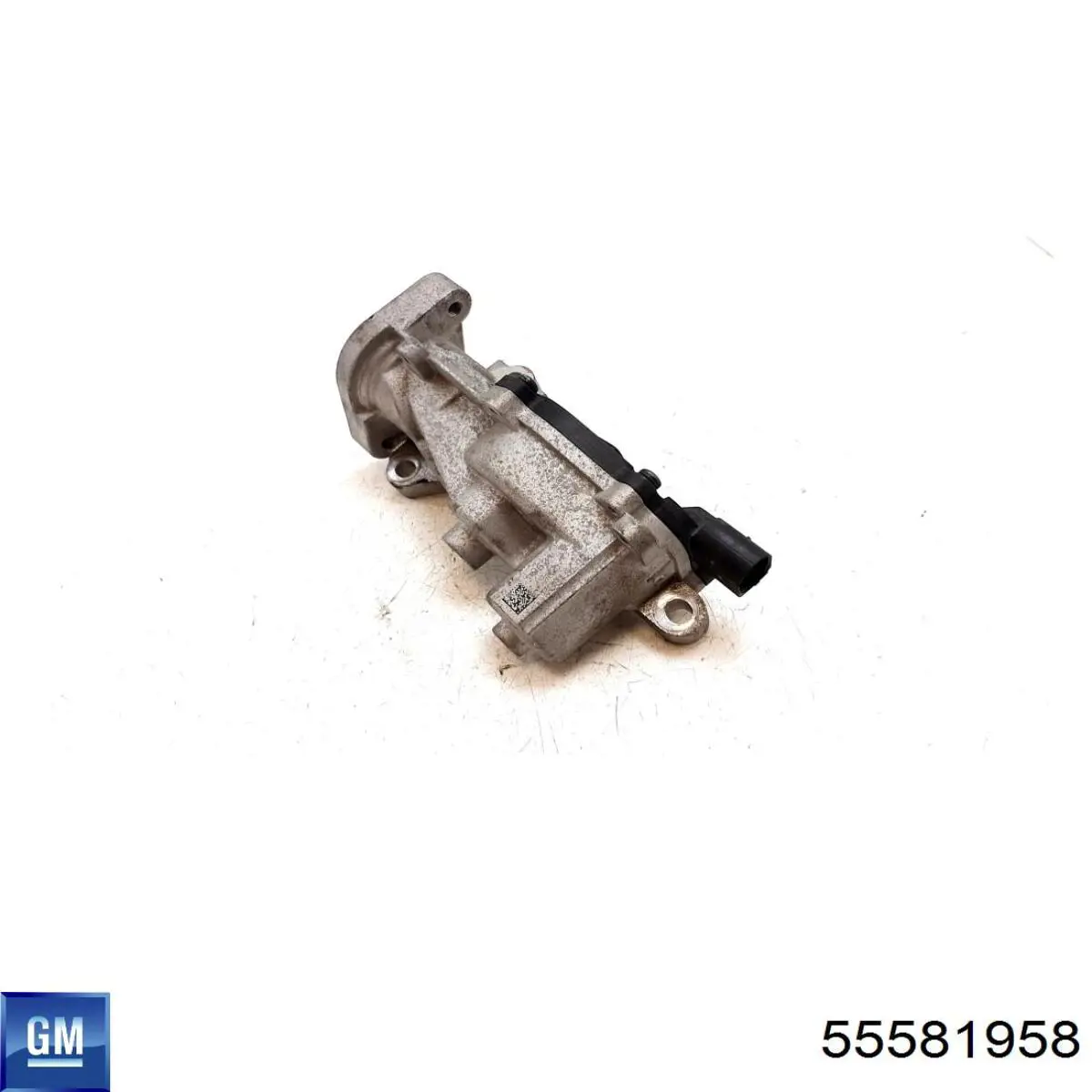 555339 ERA Válvula EGR de recirculação dos gases