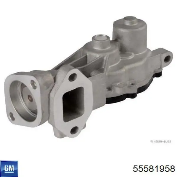 Compre 555339 ERA Válvula EGR de recirculação dos gases