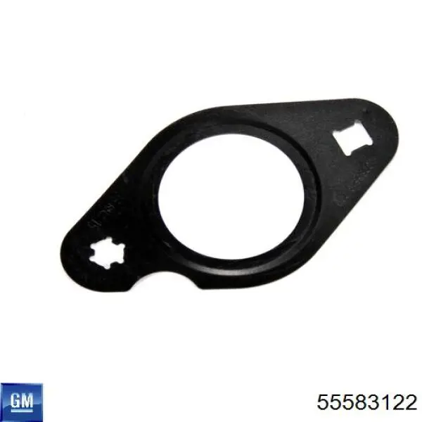 Vedante anular de cano derivado EGR General Motors 55583122