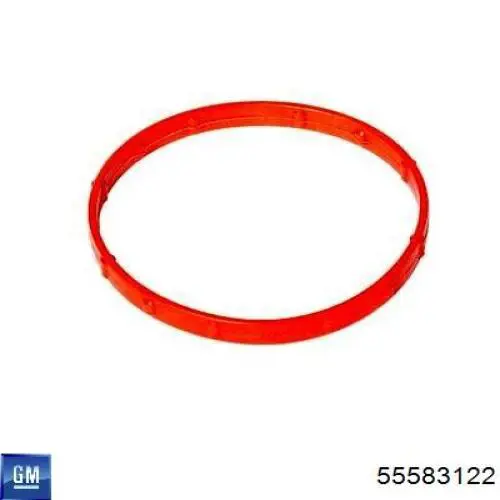 Compre 55583122 General Motors Vedante anular de cano derivado EGR