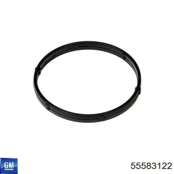 Vedante anular de cano derivado EGR 55583122 General Motors
