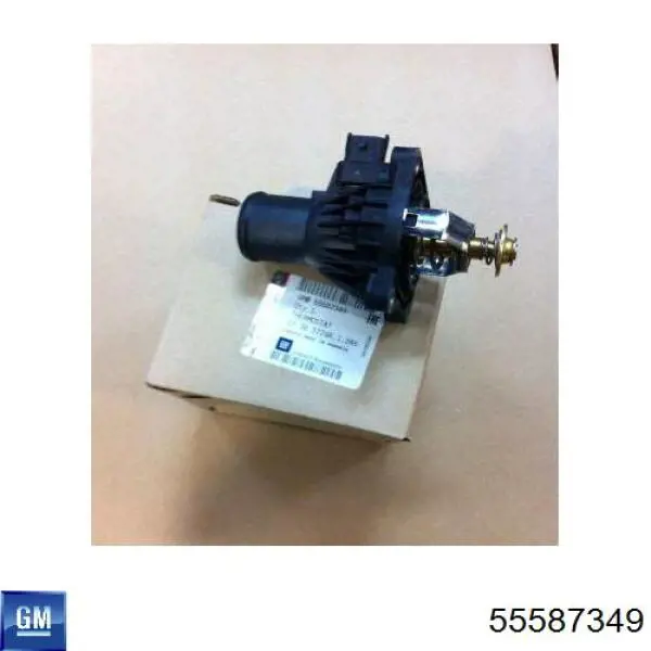 55587349 General Motors Termostato