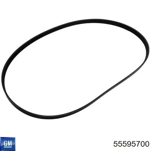 Compre 55595700 General Motors Correia dos conjuntos de transmissão