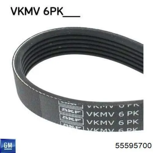 Compre 55595700 General Motors Correia dos conjuntos de transmissão