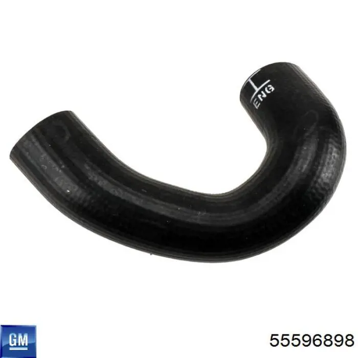 Compre 55596898 General Motors Tubo (mangueira) do radiador de óleo, de pressão alta