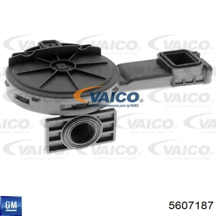 5607187 General Motors Tampa de válvulas
