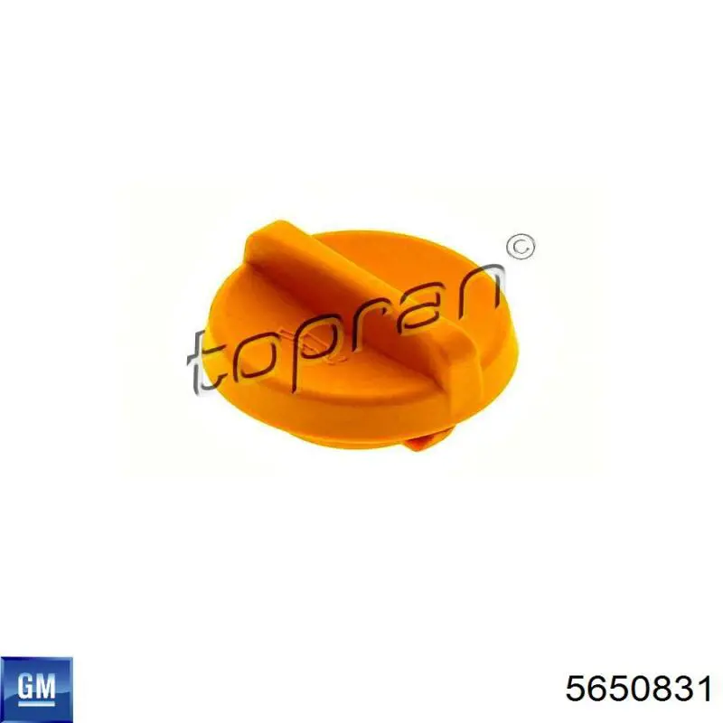 Tampa do gargalho de enchimento de óleo General Motors 5650831 preço, a partir de 6,27 USD